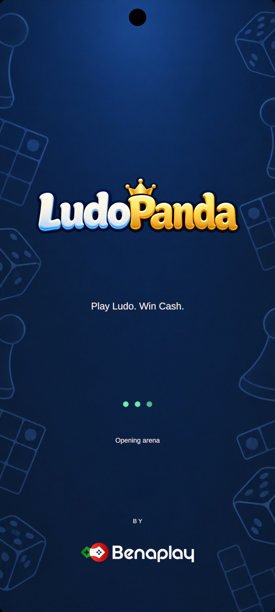 LudoPanda splash screen